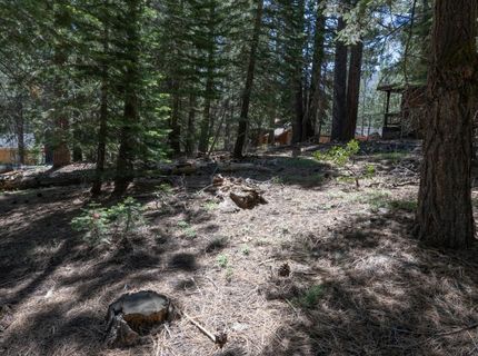 1876 Elks Club Dr, South Lake Tahoe, CA 96150 Photo