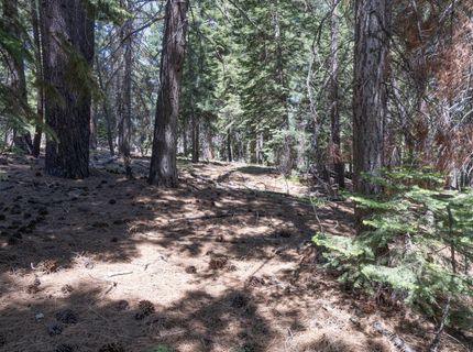 1876 Elks Club Dr, South Lake Tahoe, CA 96150 Photo