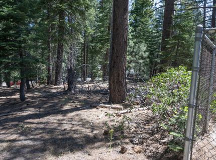 1876 Elks Club Dr, South Lake Tahoe, CA 96150 Photo