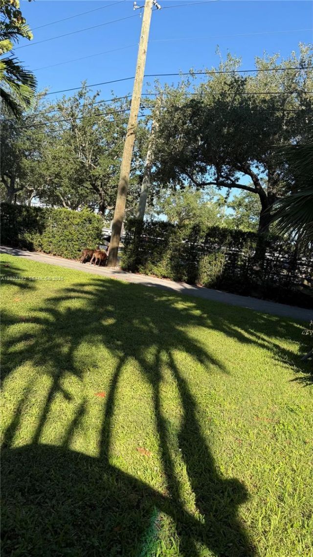 10115 Biscayne Blvd , Miami Shores, FL 33138 Photo