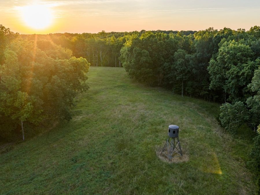 Property Image 33