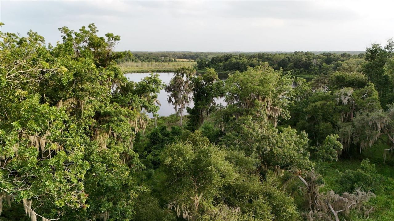 37625 N County Road 44a, Eustis, FL 32726 Photo