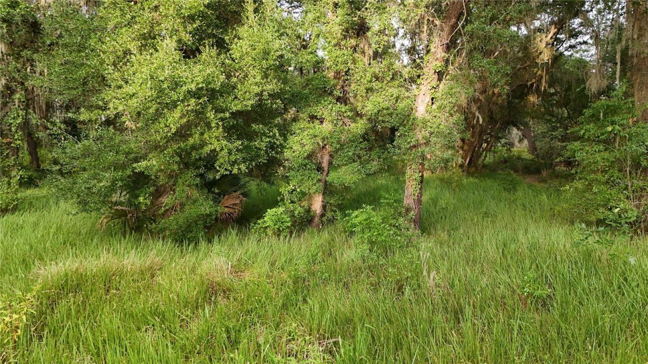 37625 N County Road 44a, Eustis, FL 32726 Photo