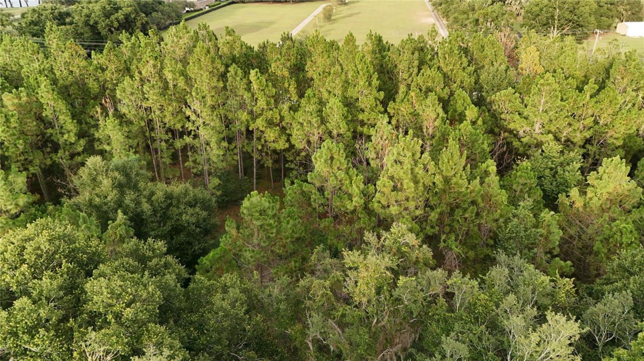 37625 N County Road 44a, Eustis, FL 32726 Photo
