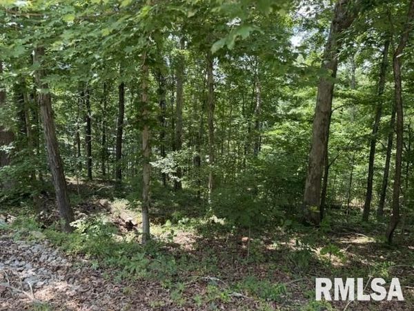 000 Wagon Creek Loop, Creal Springs, IL 62922