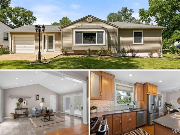 9217 Hallock Drive, Affton, MO 63123