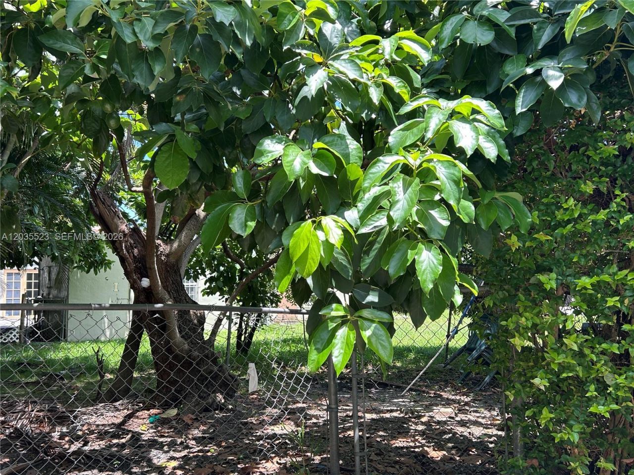 9600 N Miami Ave, Miami Shores, FL 33150 Photo