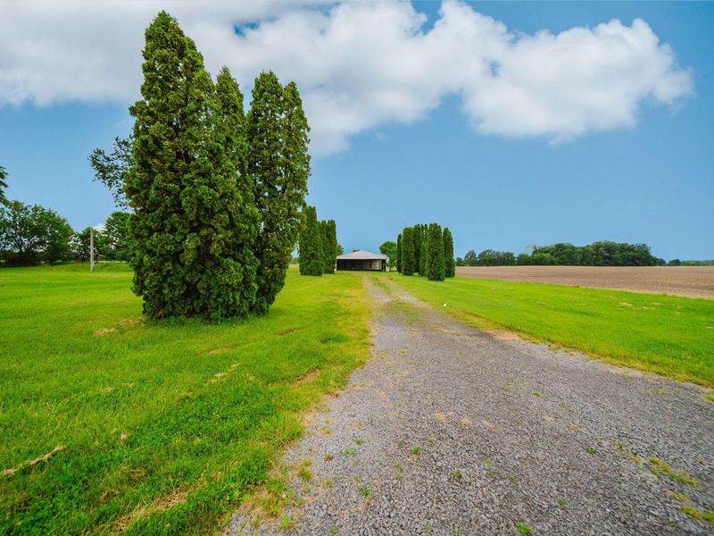 12483 Township Road 209, Kenton, OH 43326 Photo 3