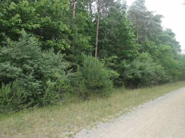 Merrill Drive, Vestaburg, MI 48891