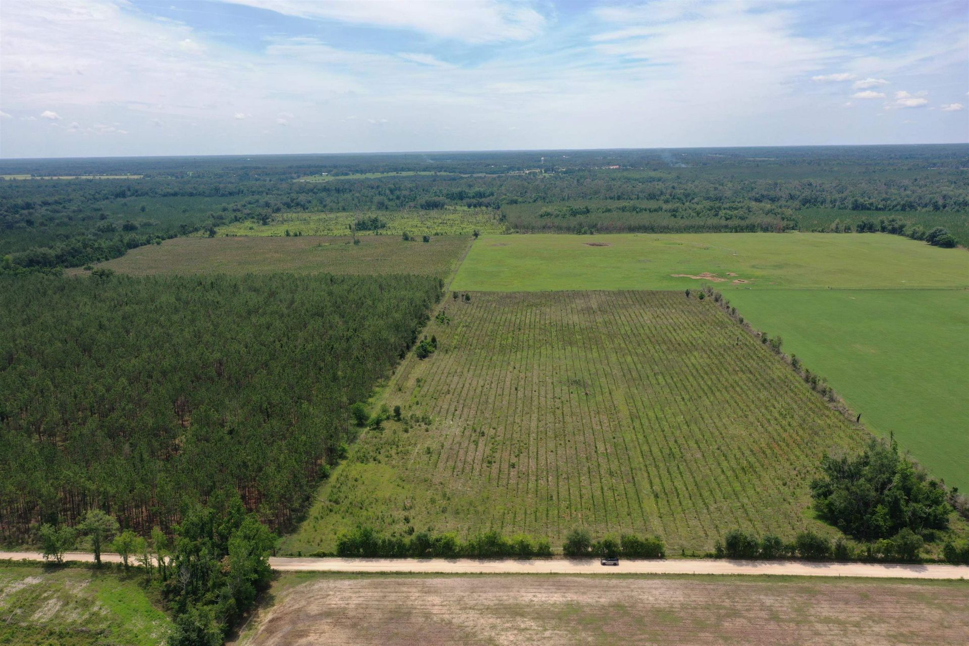 Sw 86th Boulevard , Jasper, FL 32052 Photo