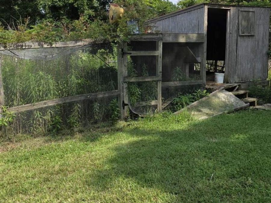 Property Image 14