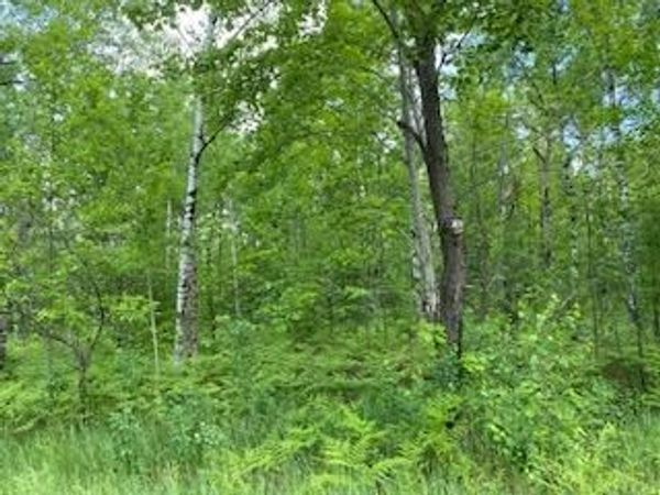 Lot 141 Montrose Drive, Mancelona, MI 49659