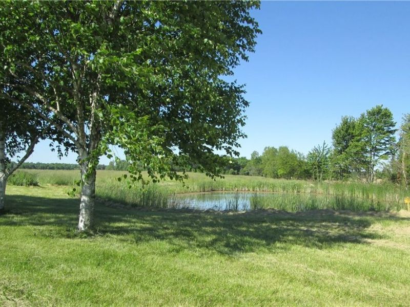 13096 Smith Road , Wellington, OH 44090 Photo 23