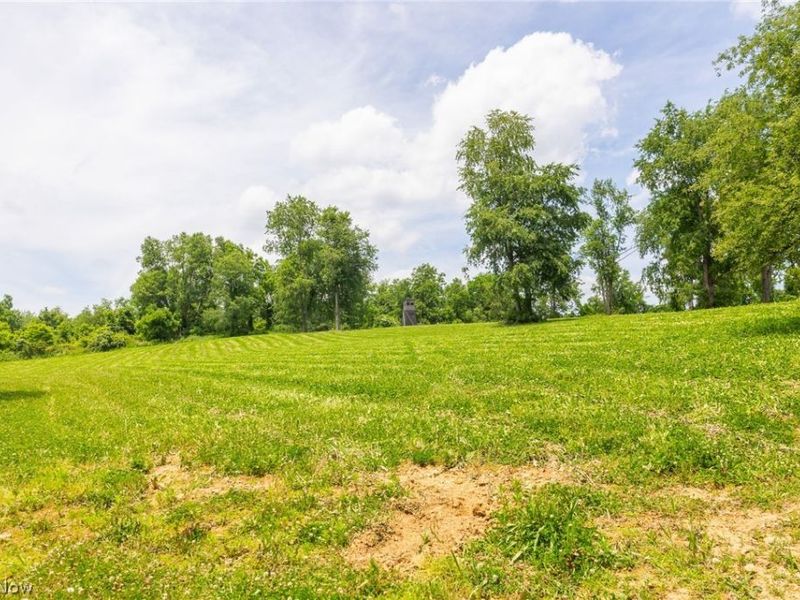 72645 Henderson Ridge Road , Saint Clairsville, OH 43950 Photo 20