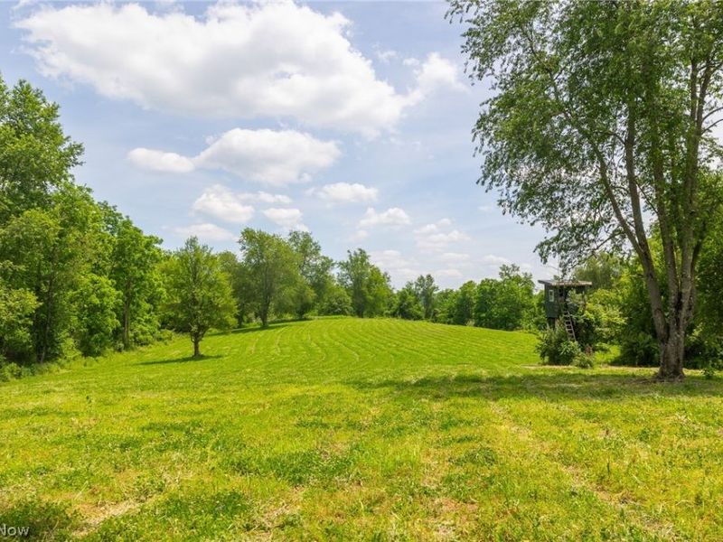 72645 Henderson Ridge Road , Saint Clairsville, OH 43950 Photo 22