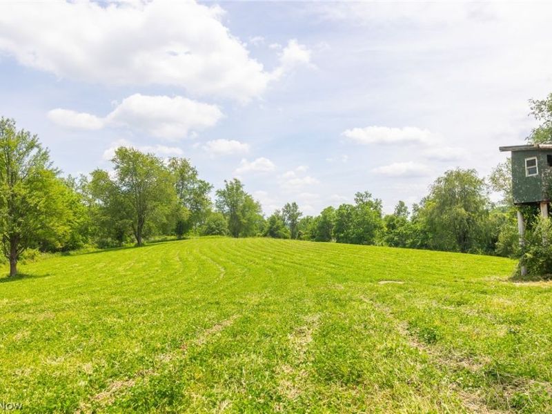 72645 Henderson Ridge Road , Saint Clairsville, OH 43950 Photo 23