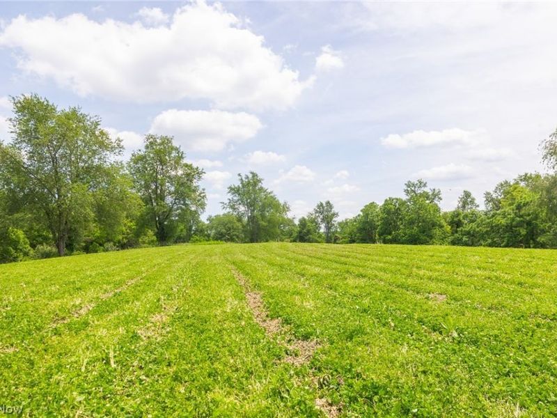 72645 Henderson Ridge Road , Saint Clairsville, OH 43950 Photo 25