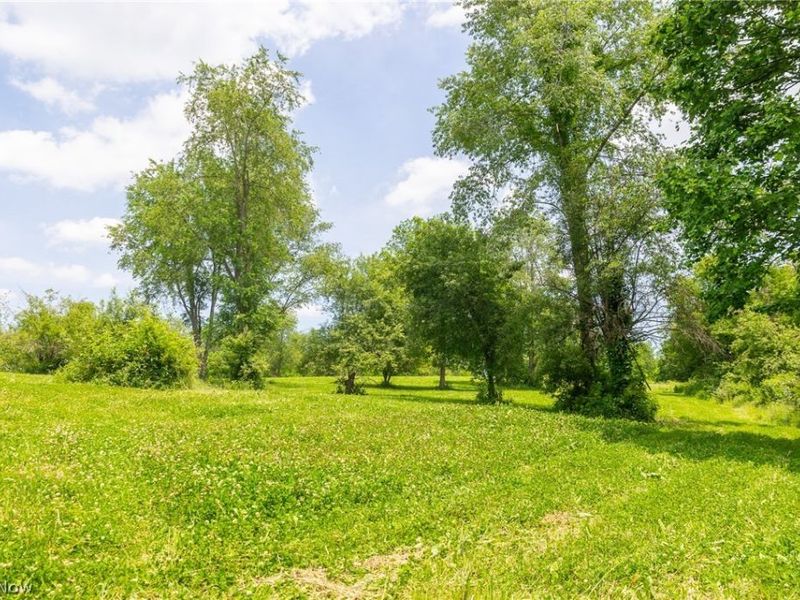 72645 Henderson Ridge Road , Saint Clairsville, OH 43950 Photo 45