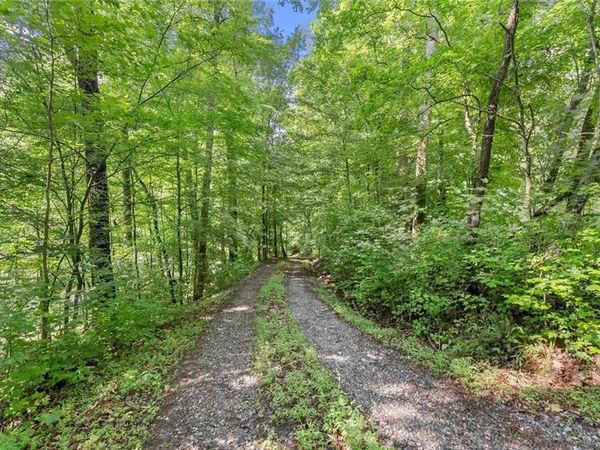 0 Long Branch Road , Dahlonega, GA 30533
