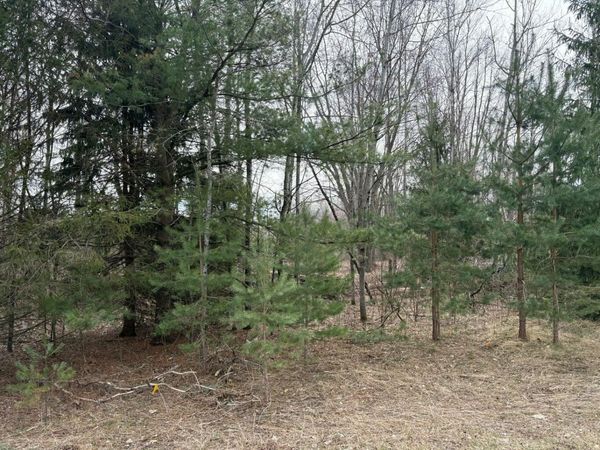 17850 Sparta Avenue NW, Kent City, MI 49330