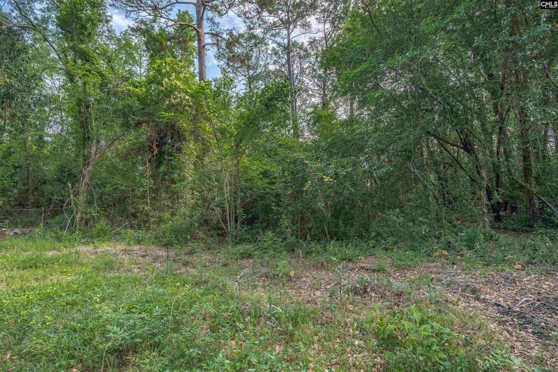5318 Pinestraw Road  Photo 45