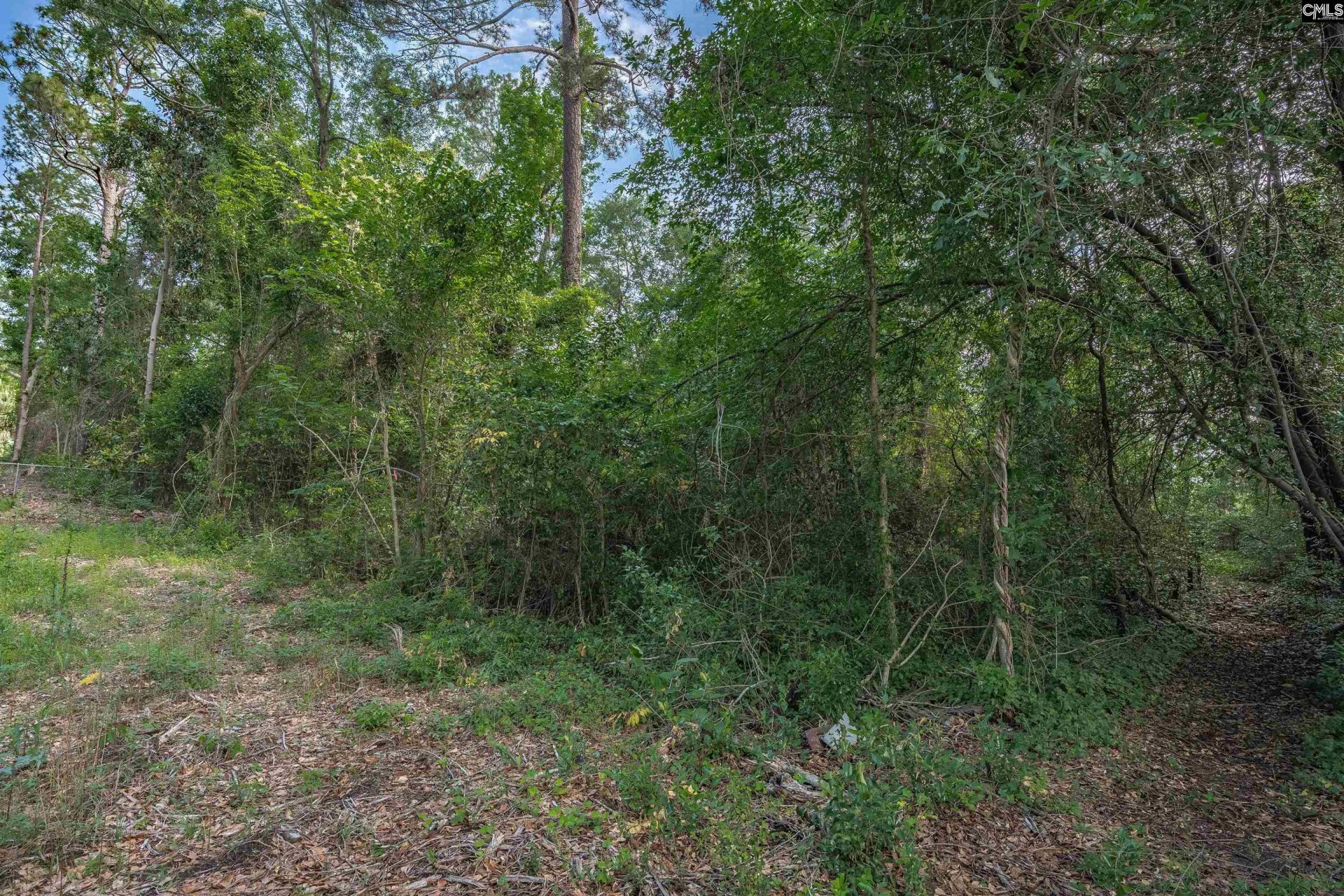 5318 Pinestraw Road  Photo 46