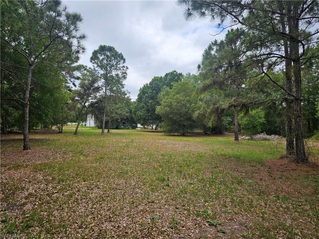 509 Bald Cypress Ave , Clewiston, FL 33440 Photo