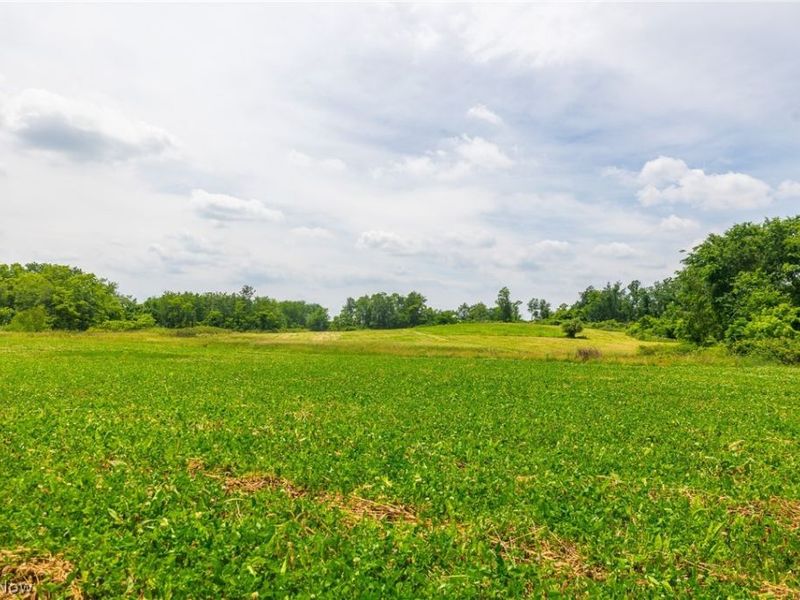 72645 Henderson Ridge Road , Saint Clairsville, OH 43950 Photo 11