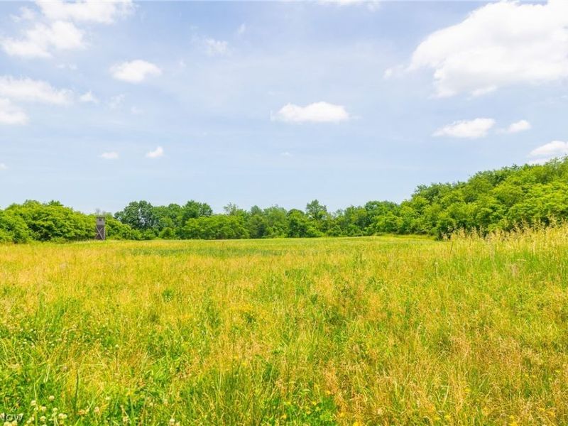 72645 Henderson Ridge Road , Saint Clairsville, OH 43950 Photo 14