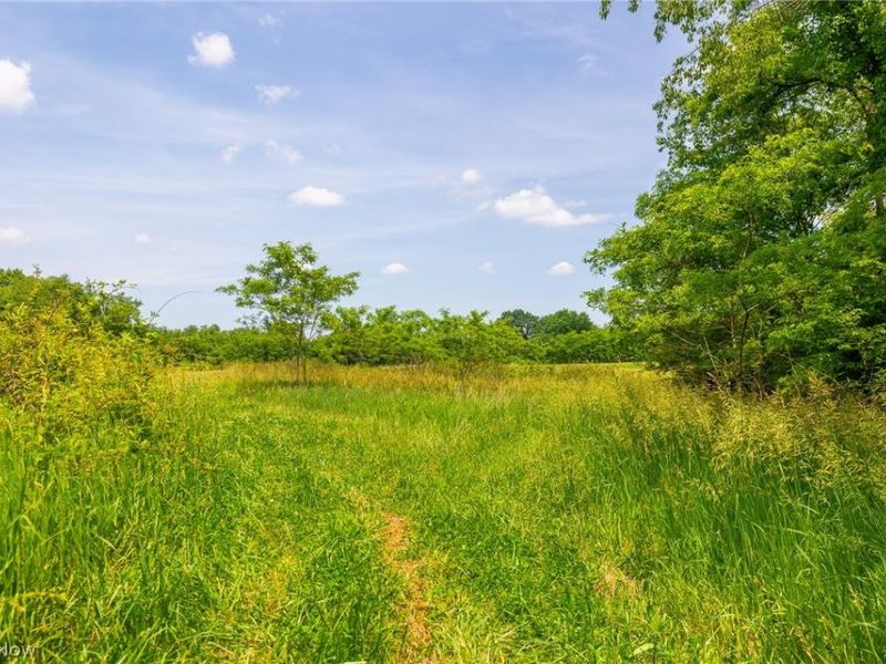 72645 Henderson Ridge Road , Saint Clairsville, OH 43950 Photo 15