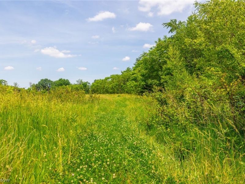 72645 Henderson Ridge Road , Saint Clairsville, OH 43950 Photo 16