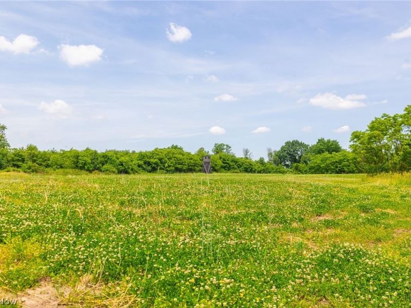 72645 Henderson Ridge Road , Saint Clairsville, OH 43950 Photo 17