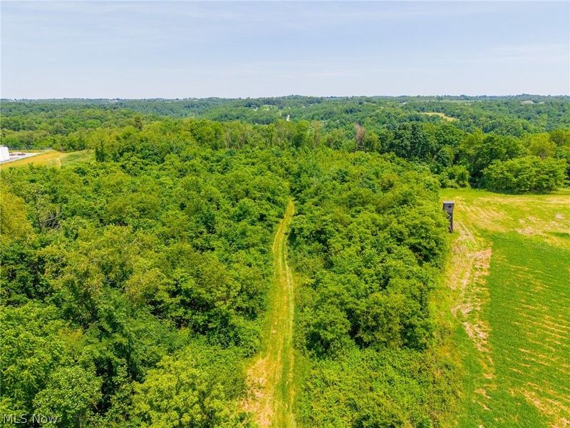 72645 Henderson Ridge Road , Saint Clairsville, OH 43950 Photo 22