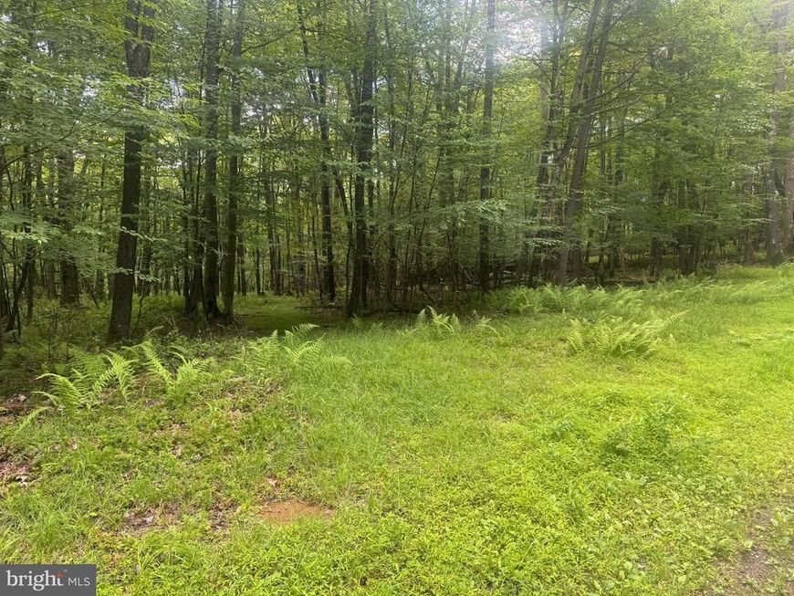 Lot 18 Buck Drive, Oakland, MD 21550 Main Photo