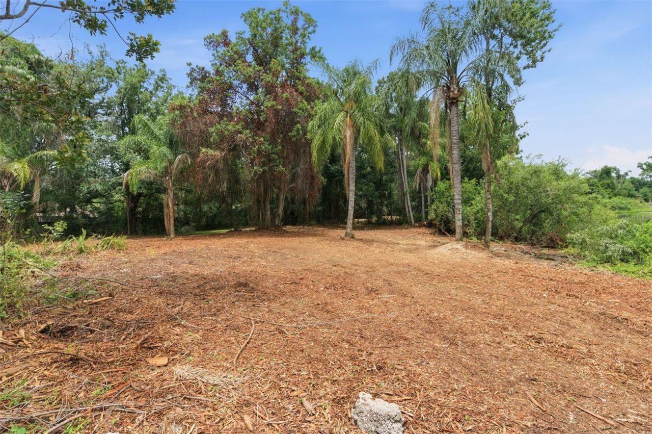6409 Chiswick Court , New Port Richey, FL 34655 Photo