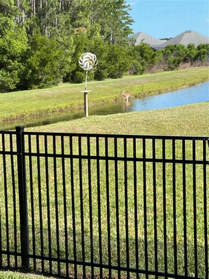 3331 Bellino Boulevard, New Smyrna Beach, FL 32168 Photo