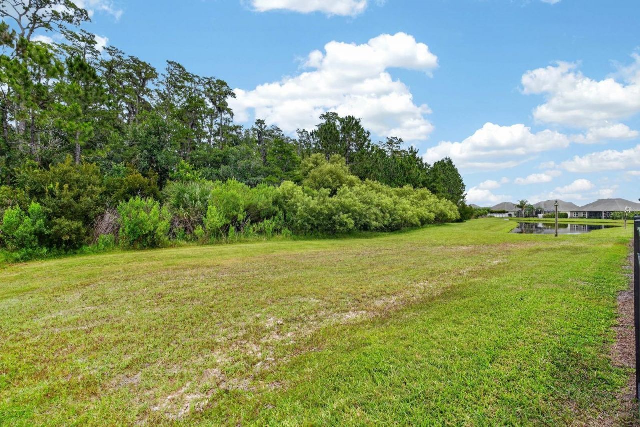 3331 Bellino Boulevard, New Smyrna Beach, FL 32168 Photo