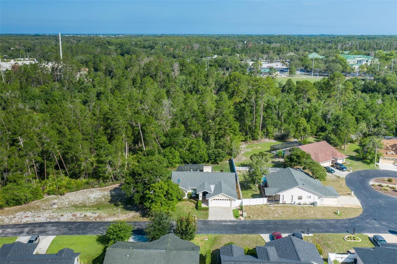 7751 Leighton Circle, New Port Richey, FL 34654 Photo