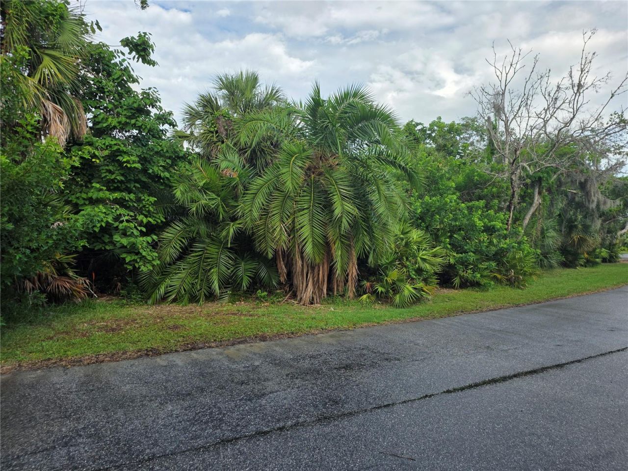 143 Osprey Point Drive , Osprey, FL 34229 Photo
