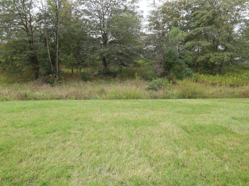 8715 Martin Lane, Plain City, OH 43064 Photo 25