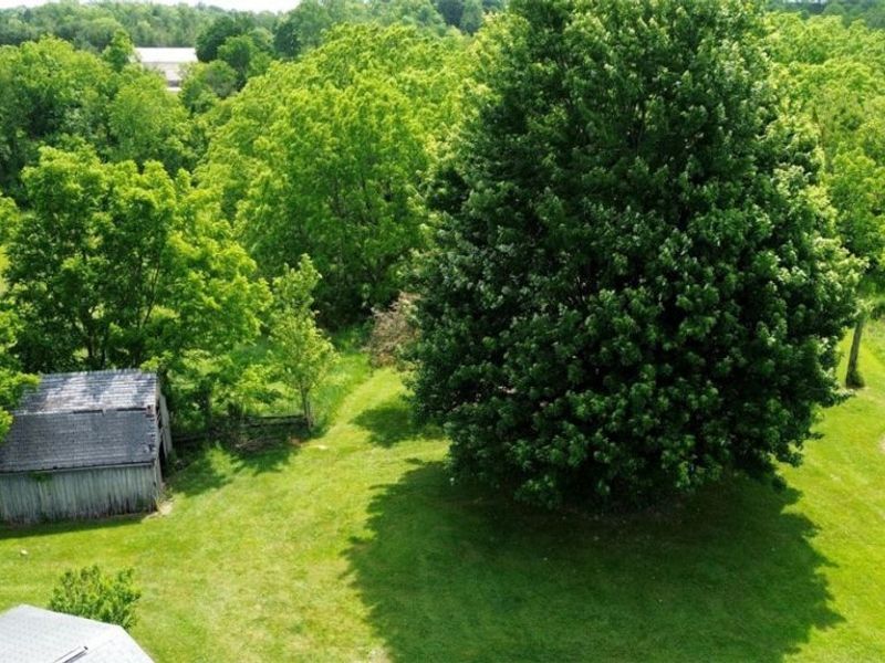 7251 Ryan Road, Medina, OH 44256 Photo 32