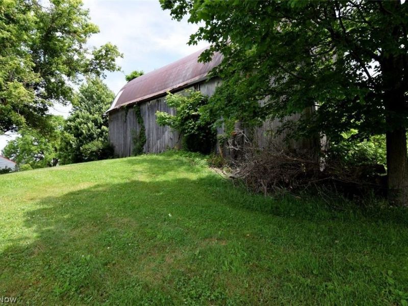 7251 Ryan Road, Medina, OH 44256 Photo 33