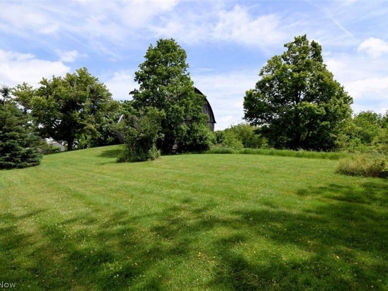 7251 Ryan Road, Medina, OH 44256 Photo 35