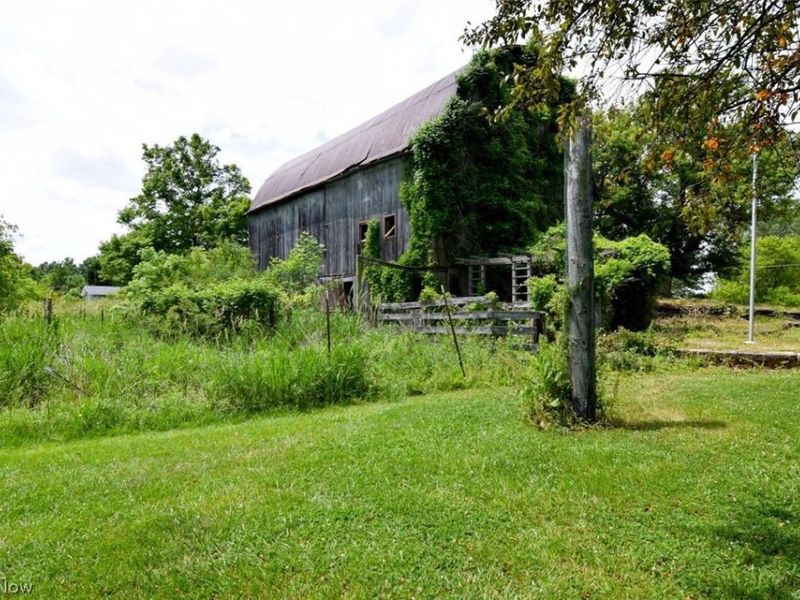 7251 Ryan Road, Medina, OH 44256 Photo 38
