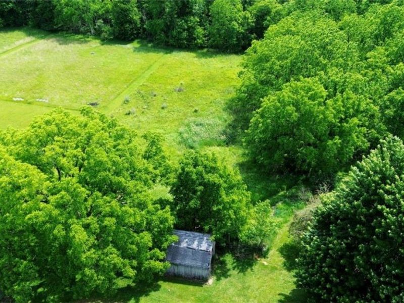 7251 Ryan Road, Medina, OH 44256 Photo 39