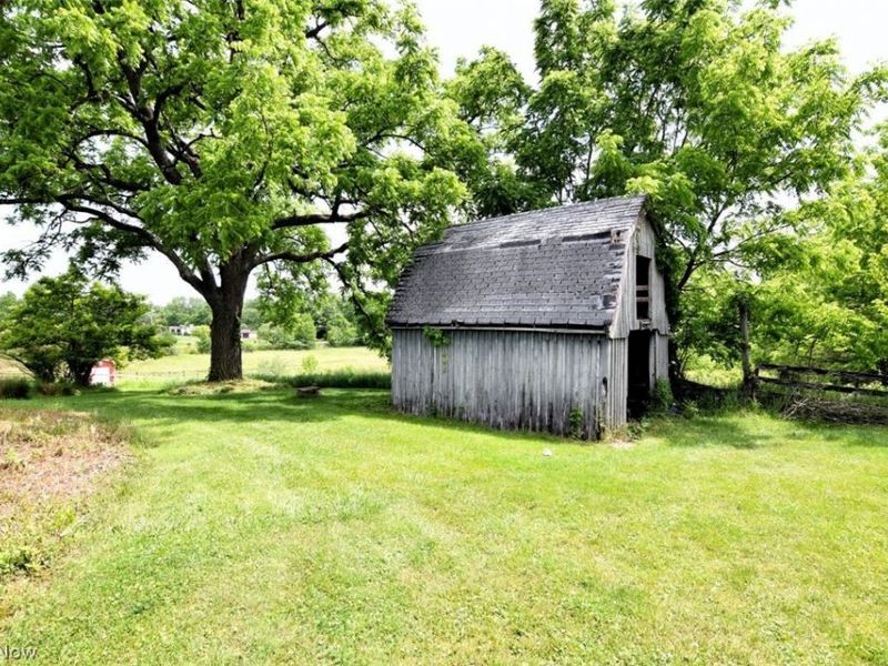 7251 Ryan Road, Medina, OH 44256 Photo 41