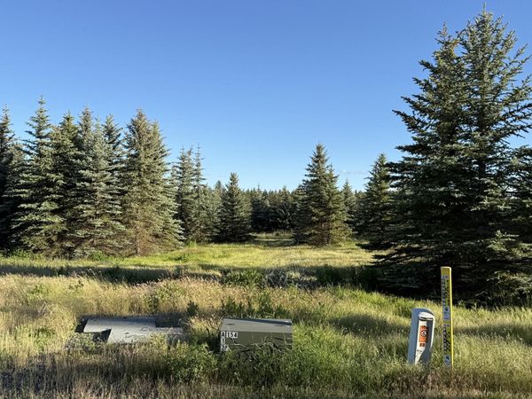 111XX S Spruce Tree Ln, Mica, WA 99023
