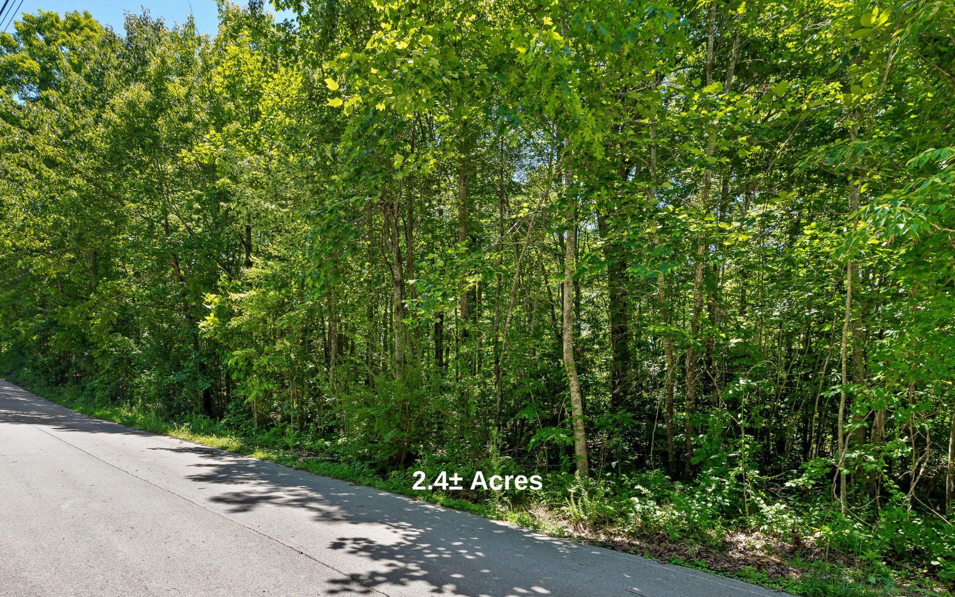 2 Acres Holly Street, Signal Mountain, TN 37377 Main Photo