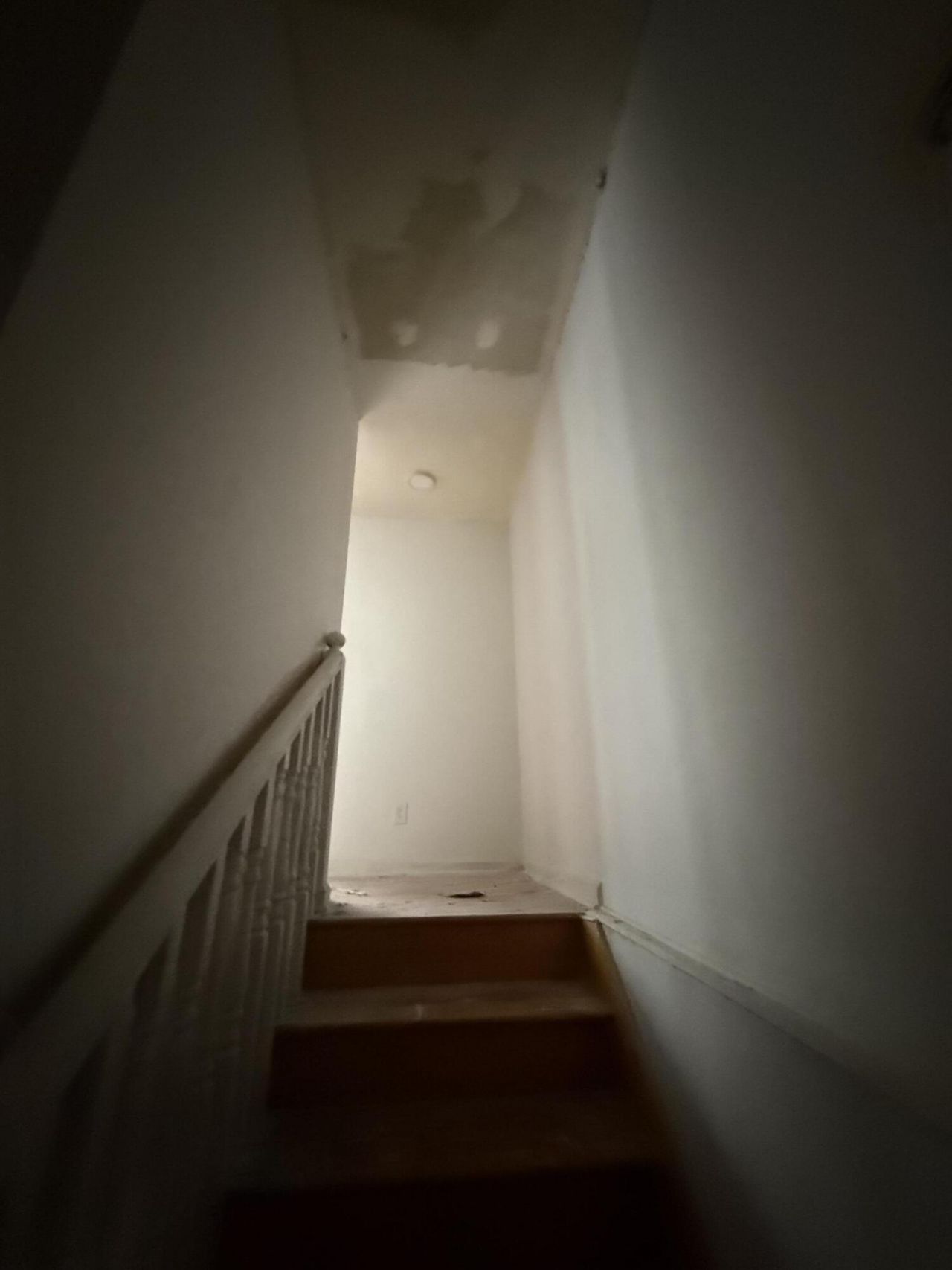 1520 Acacia Street Photo 23