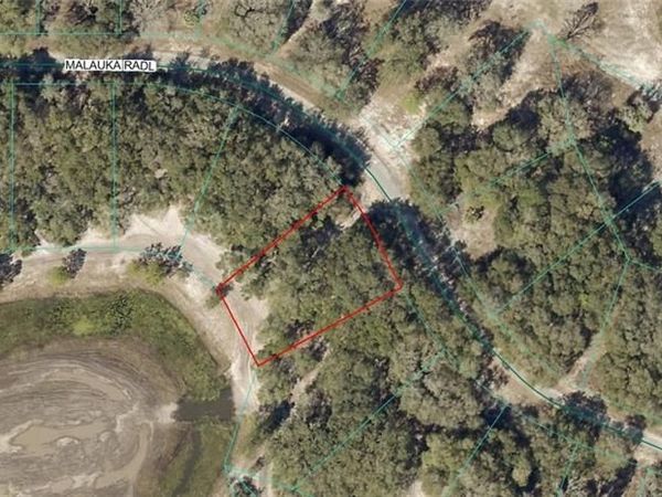 9031-0946-38 Malauka Radial , OCKLAWAHA, FL 32179